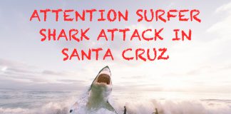 ATTENTION SURFER – SHARK ATTACK IN SANTA CRUZ